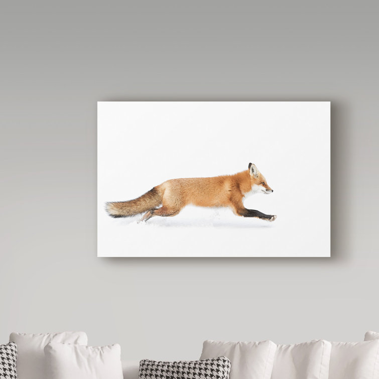 Jim Cumming Red Fox On Canvas by Jim Cumming Print